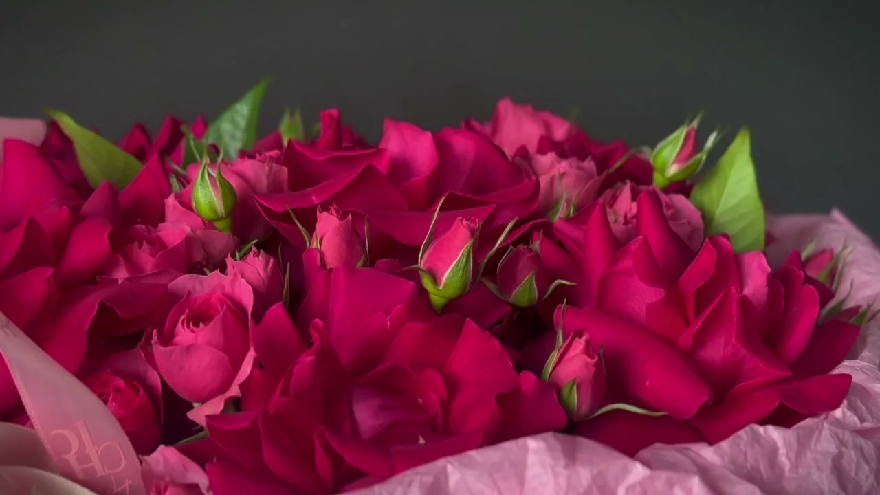 Spray Roses product film by Holy Chic Flowers Manila