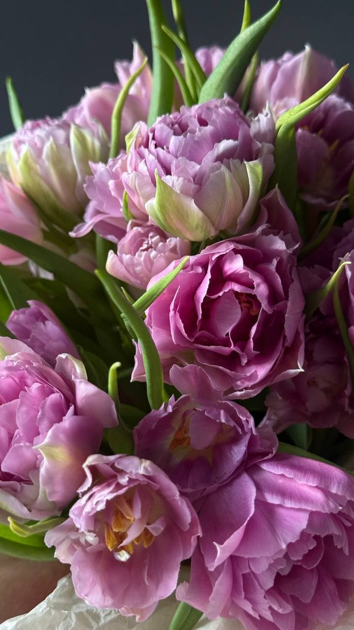 Tulips Bouquet, view 3 by Holy Chic Flowers Manila